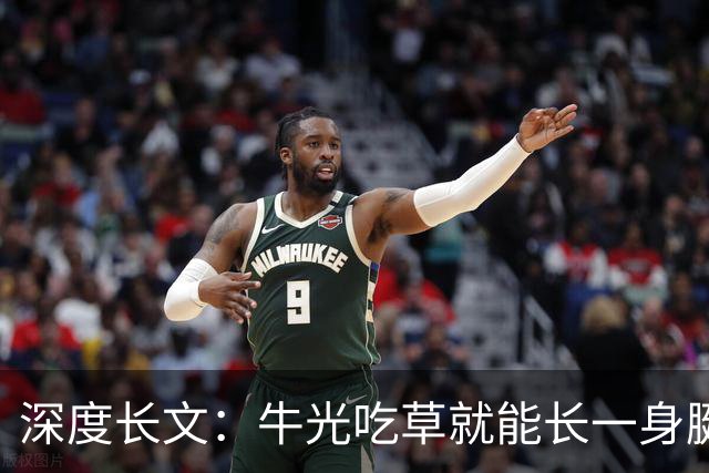 深度长文：牛光吃草就能长一身腱子肉，人为什么不行？
