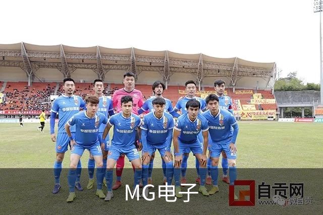 MG电子公司简介